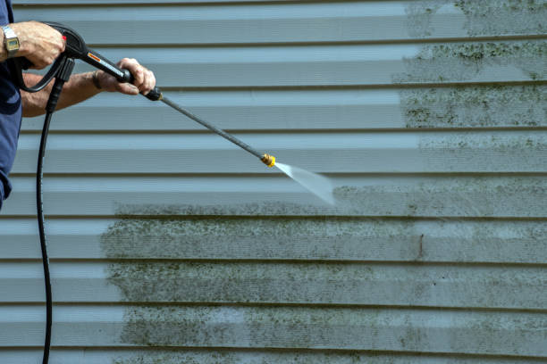 Best Fence Cleaning  in Lowell, MI